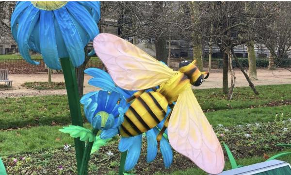 HONEY BEE VOLatility Project - Final Event.